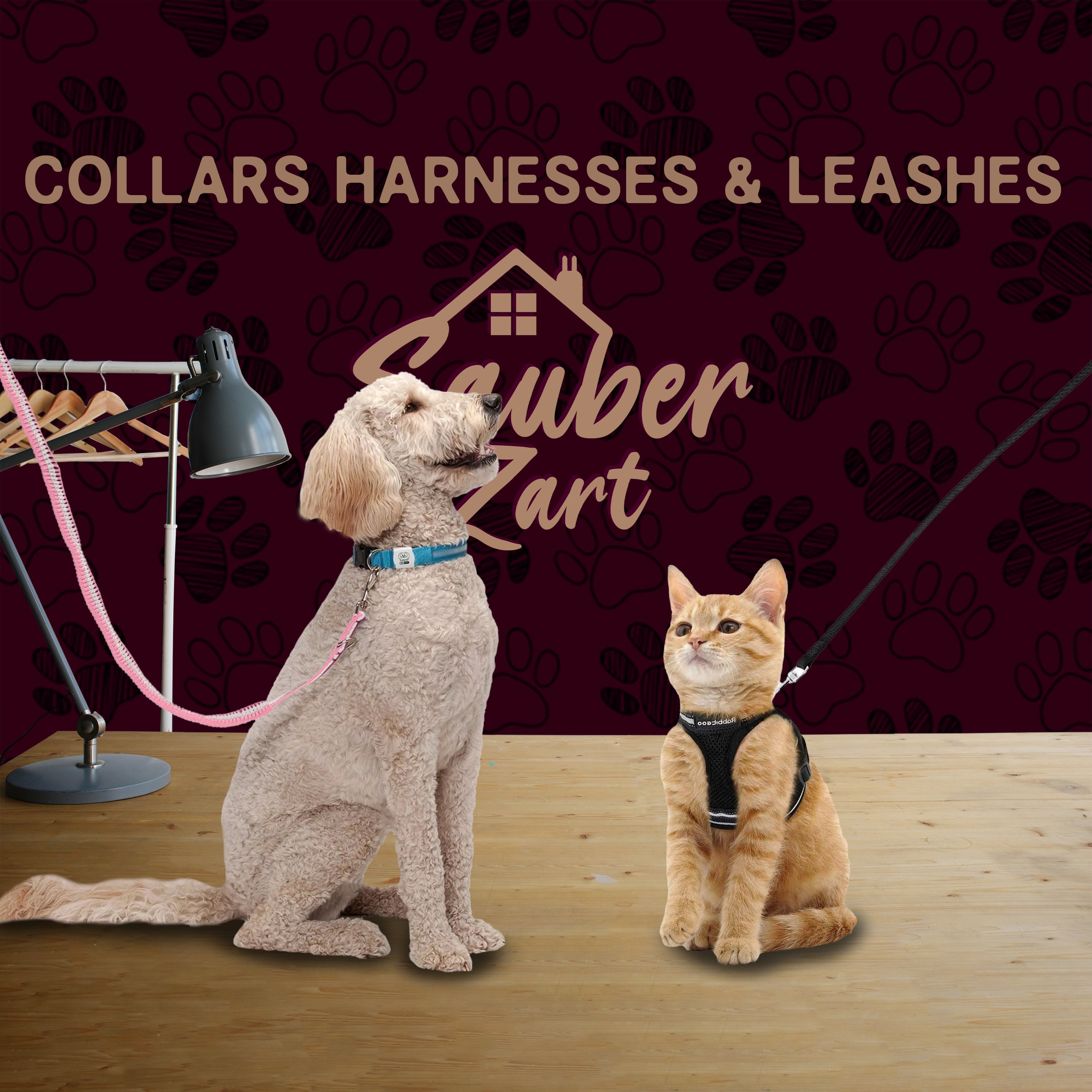 Collars Harnesses and Leashes