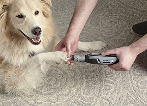 Dremel PawControl Krallenschleifer und -trimmer für Hunde – professionelles, sicheres und humanes Haustierpflegeset