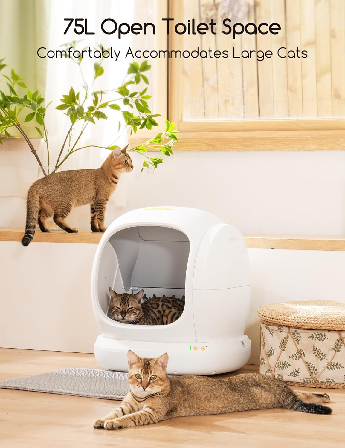 Meowant selbstreinigende Katzentoilette – 75 l, extra große automatische Katzentoilette mit Sicherheitsfunktionen, App-Steuerung und Geruchsmanagement