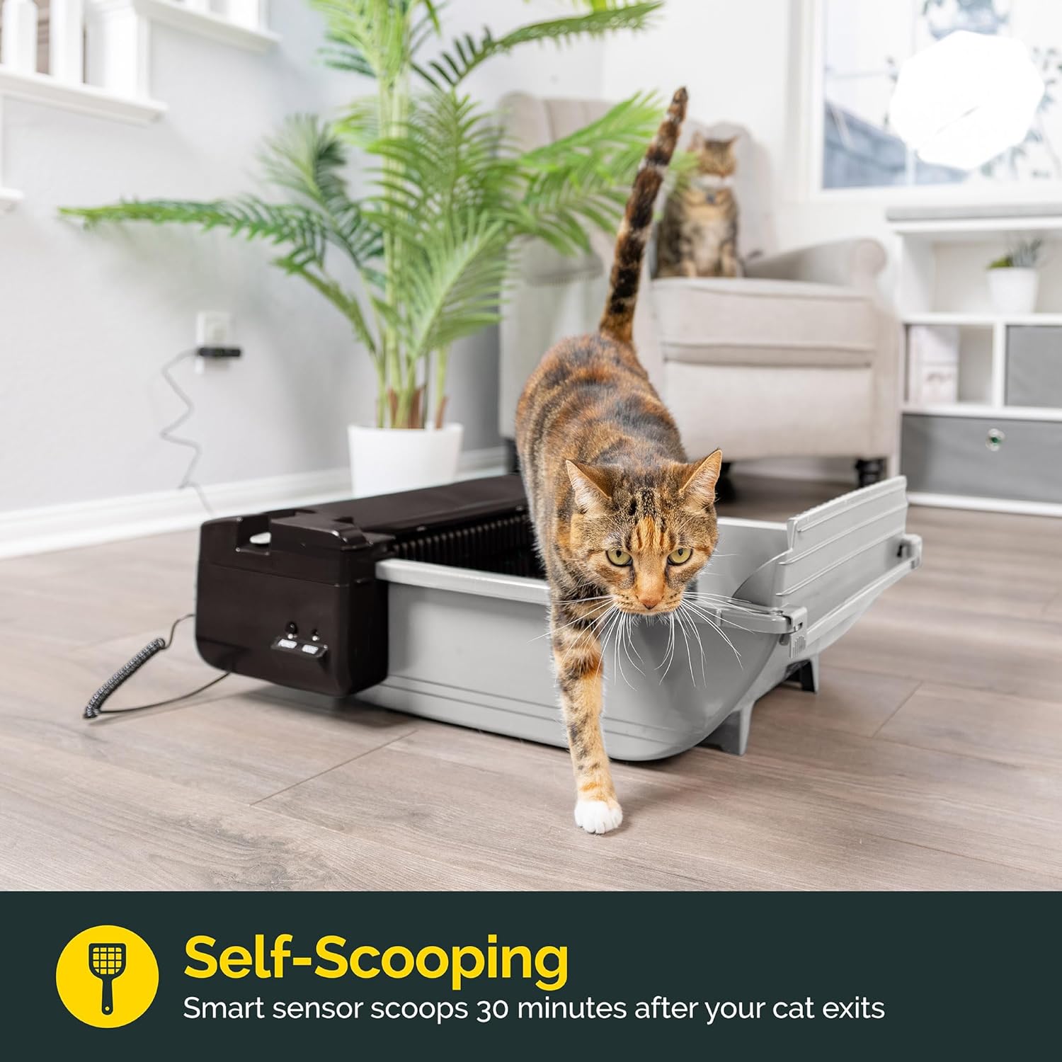 Pet Zone Smart Scoop Selbstreinigende Katzentoilette – Halbautomatische Lösung mit 6 Beuteln und Kohlefilter für Katzen bis zu 16 Pfund (maximal 2 Katzen)