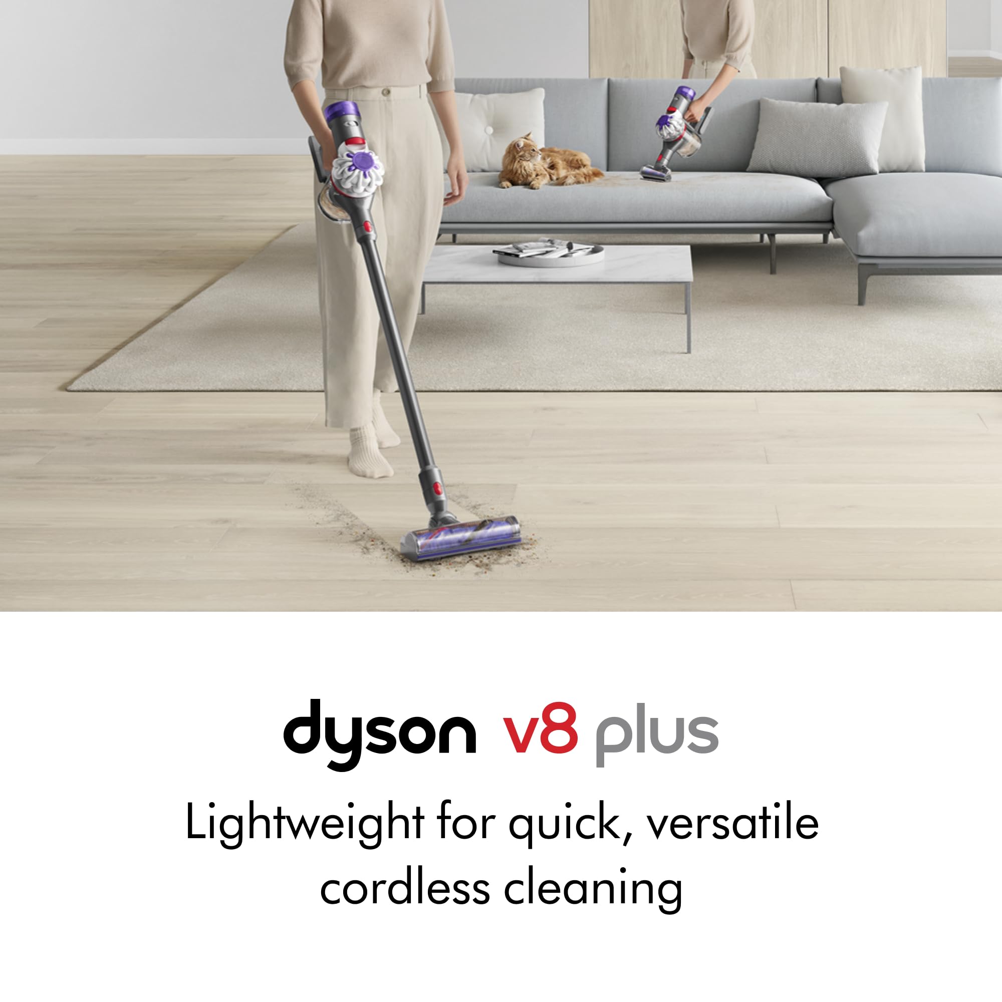 Dyson V8 Plus Akku-Staubsauger, Silber/Nickel