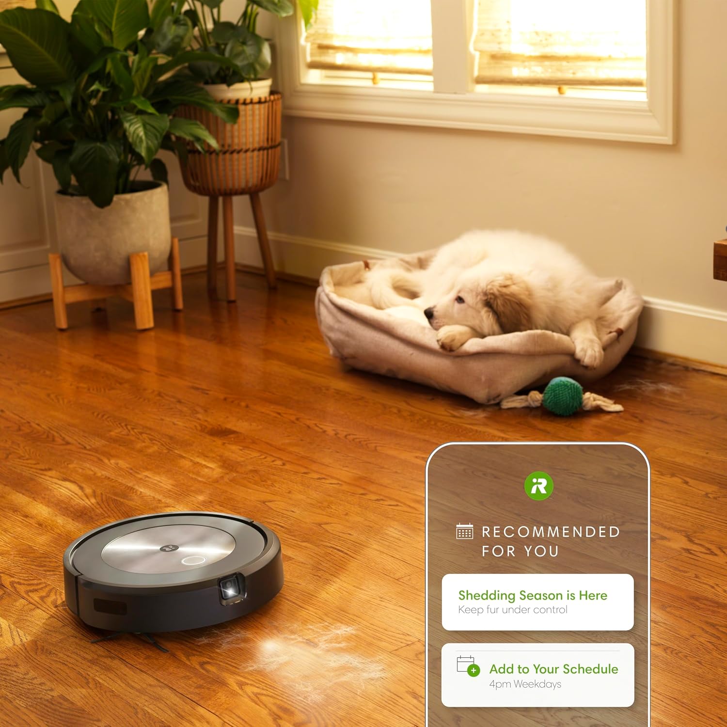 iRobot Roomba J7+ selbstentleerender Roboterstaubsauger – intelligente Navigation, präzise Reinigung und haustierfreundliches Design