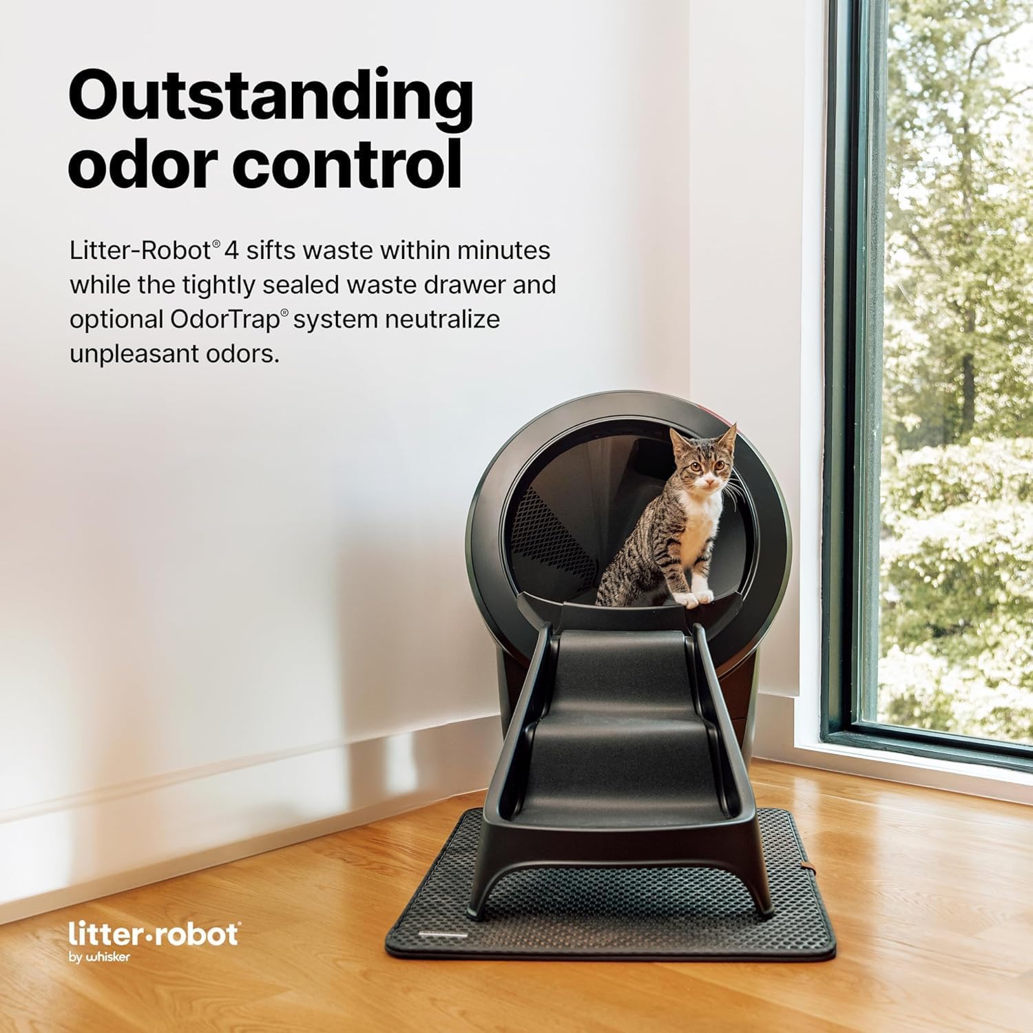 Litter-Robot 4 Premium Bundle von Whisker (Schwarz) – Fortschrittliches selbstreinigendes Katzenstreusystem mit Zubehör